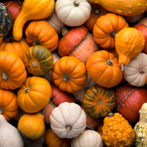 4 Easy Recipes to Use Up Leftover Halloween Pumpkins