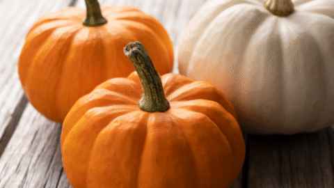 4 Easy Recipes to Use Up Leftover Halloween Pumpkins