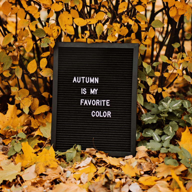 Easy and Cheap DIY Felt Letter Board Tutorial